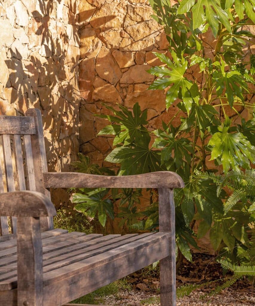Banc en bois vieilli devant un mur de pierres ocre et un feuillage vert vif sous une lumière solaire intense projetant des ombres.