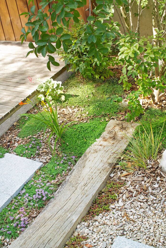 Aménagement paysager avec des plantes couvre-sol, des couvre-sol fleuris mauves, une traverse de bois vieillie et des graviers clairs.