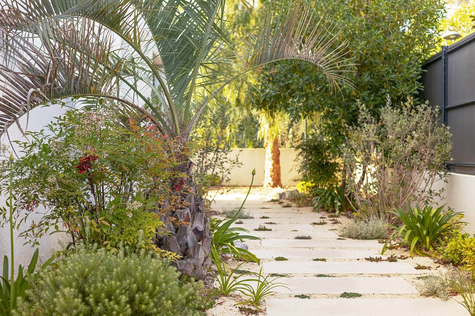 Allée de jardin moderne avec dalles de pierre claires, entourée d'une végétation luxuriante, dont un palmier et un arbuste à baies rouges.