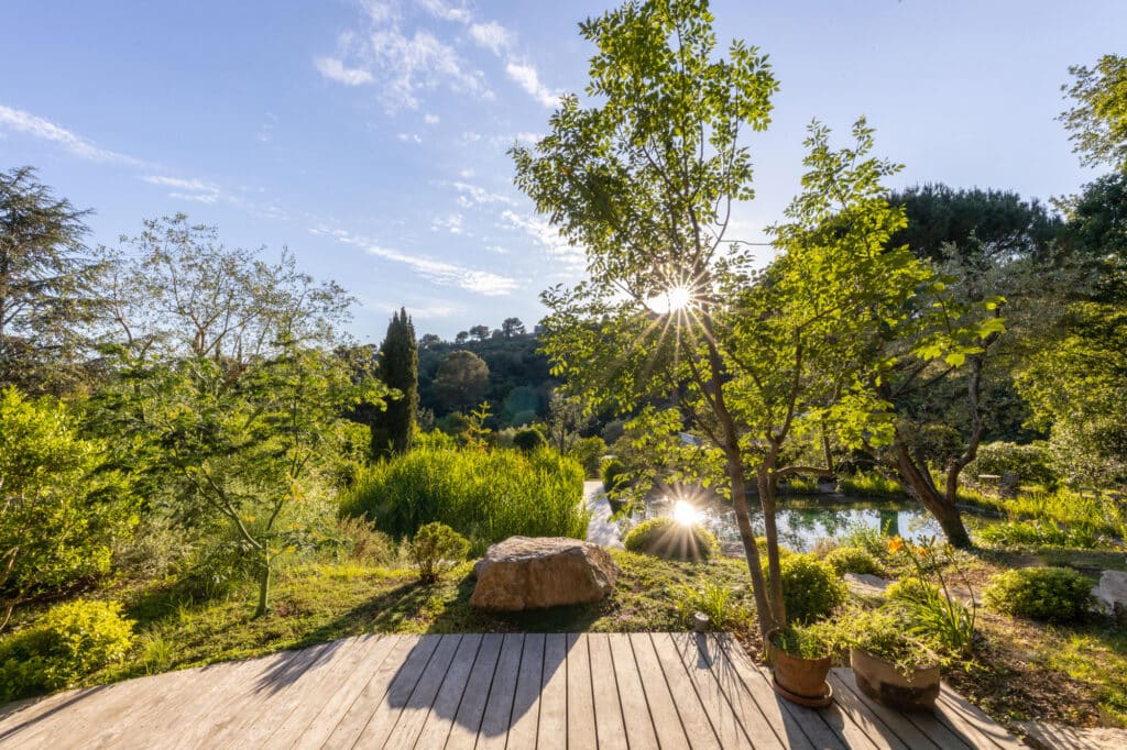 Soleil rayonnant à travers les arbres d'un jardin luxuriant. Terrasse en bois donnant sur un étang naturel et des collines verdoyantes.